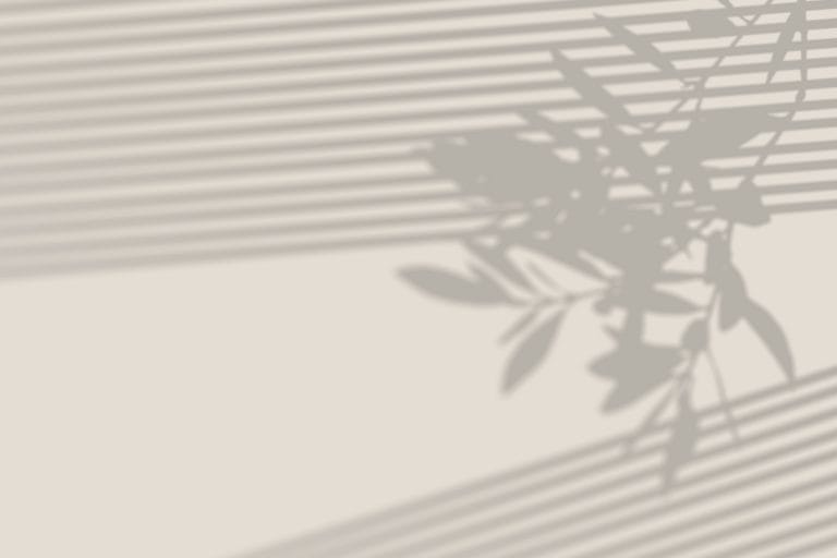 Palm leaf shadows cast on a light wall in soft daylight.